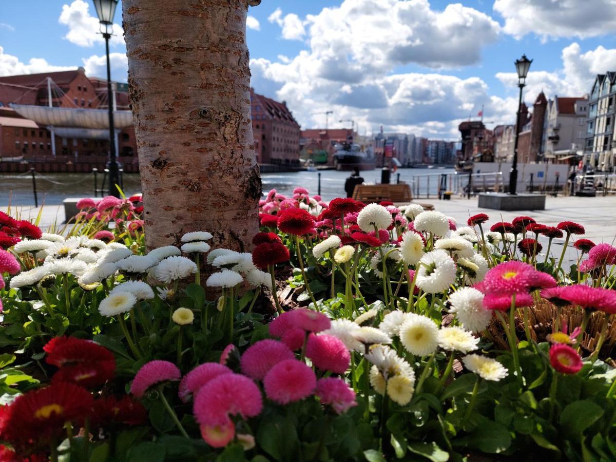 Walowa Apartament Gdansk Ngoại thất bức ảnh